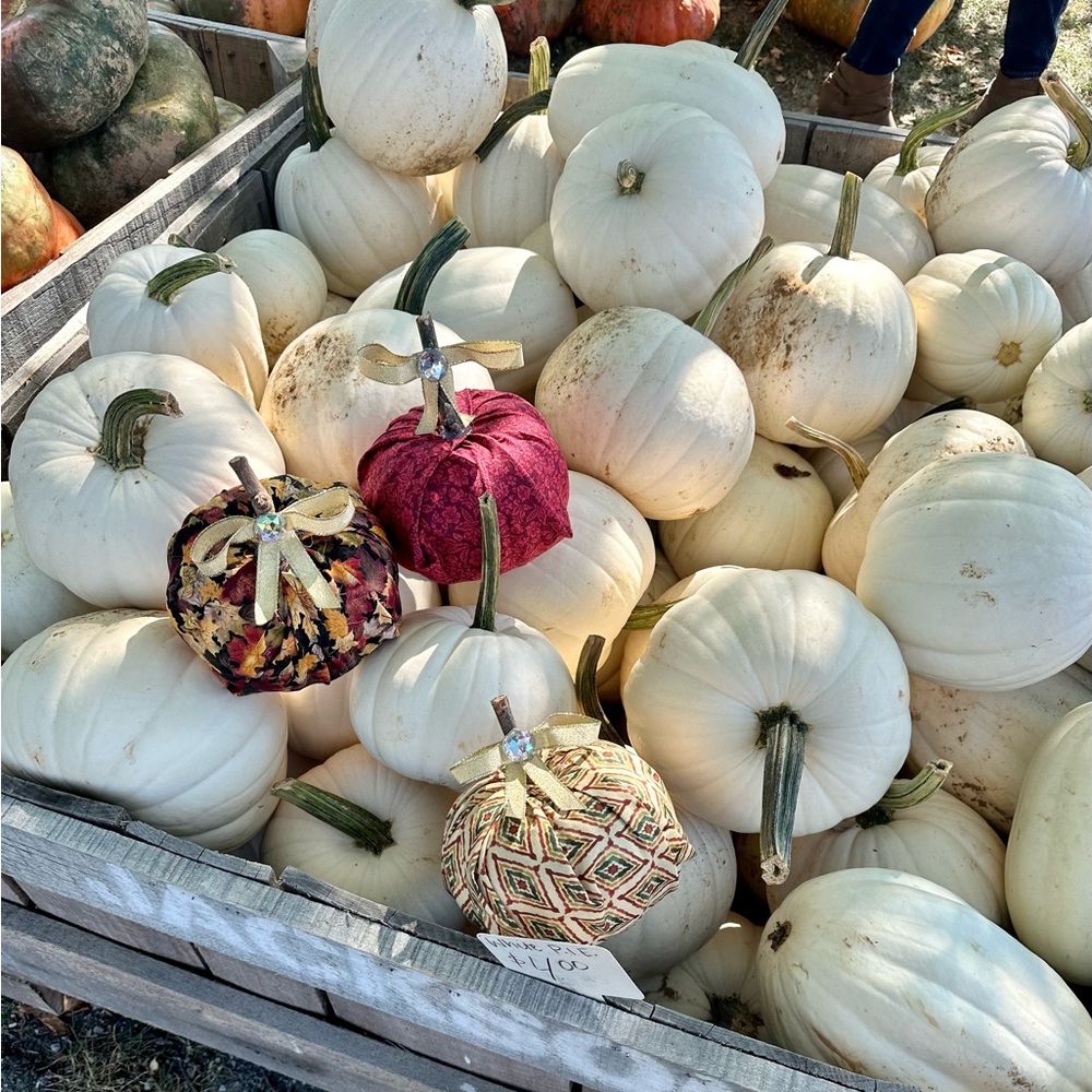 Pumpkin Decor - Picture 8 of 12